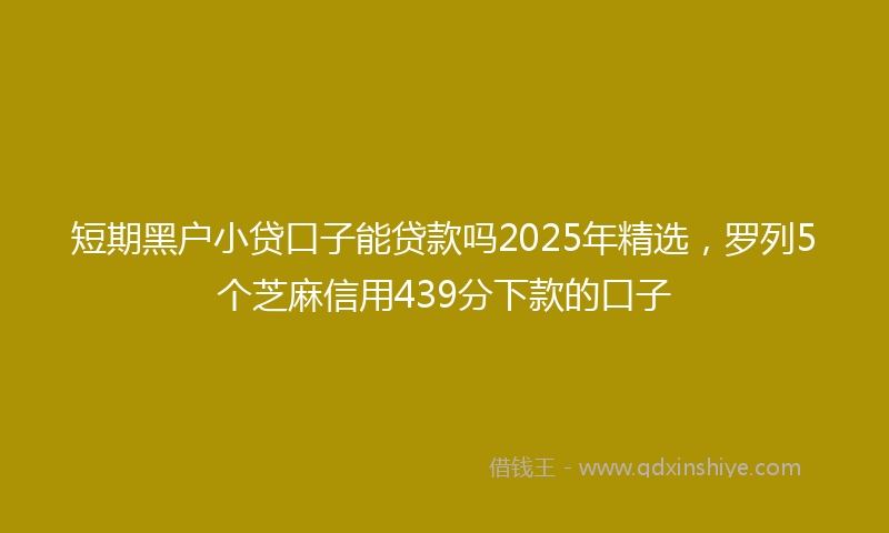 短期黑户小贷口子能贷款吗2025年精选，罗列5个芝麻信用439分下款的口子