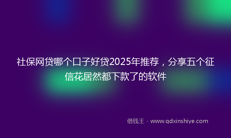 社保网贷哪个口子好贷2025年推荐，分享五个征信花居然都下款了的软件