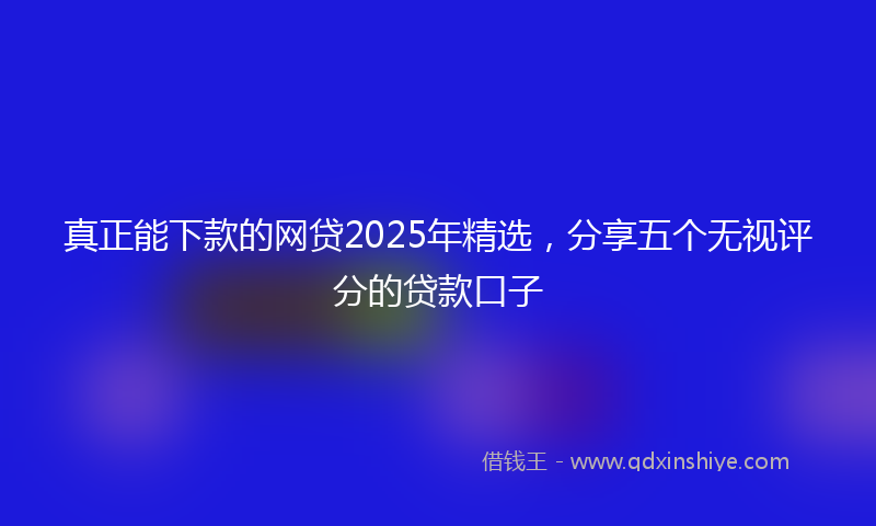 真正能下款的网贷2025年精选，分享五个无视评分的贷款口子