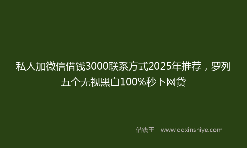 私人加微信借钱3000联系方式2025年推荐，罗列五个无视黑白100%秒下网贷