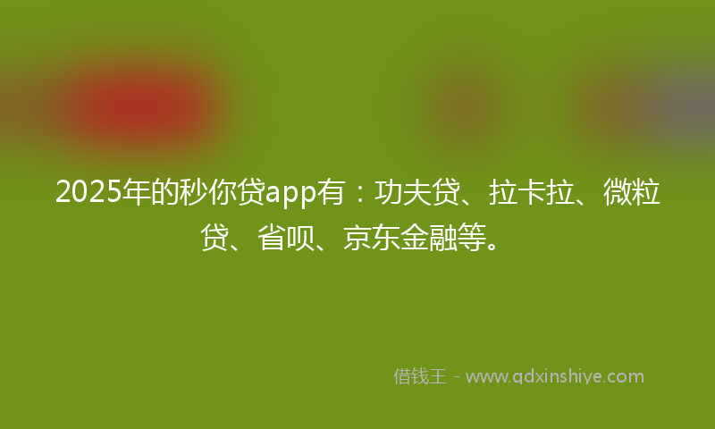 2025年的秒你贷app有：功夫贷、拉卡拉、微粒贷、省呗、京东金融等。