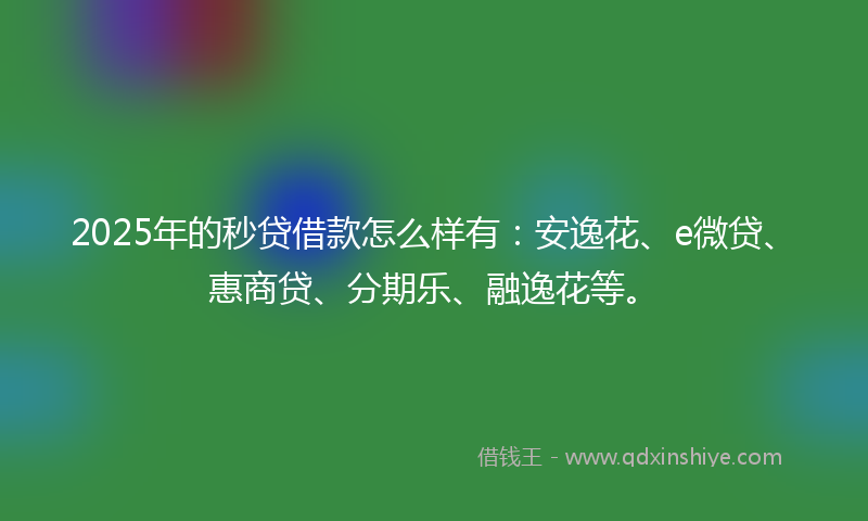 2025年的秒贷借款怎么样有：安逸花、e微贷、惠商贷、分期乐、融逸花等。