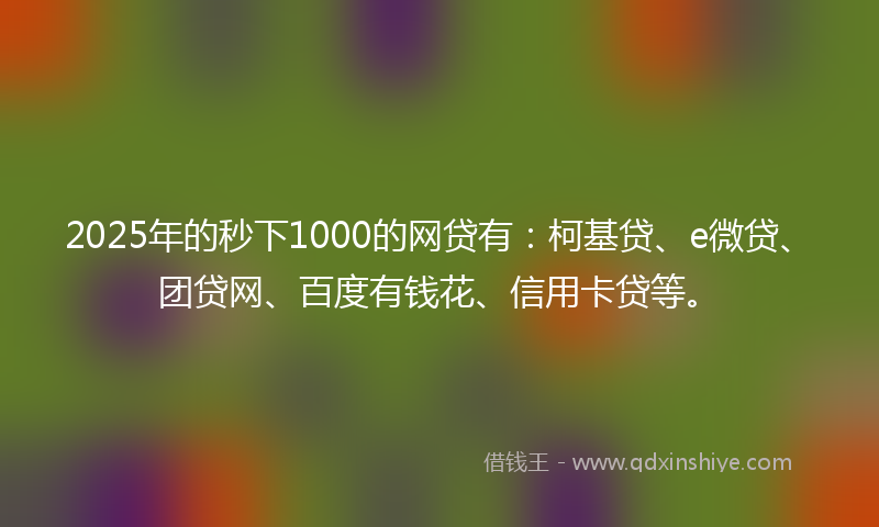 2025年的秒下1000的网贷有：柯基贷、e微贷、团贷网、百度有钱花、信用卡贷等。