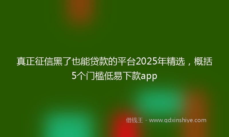 真正征信黑了也能贷款的平台2025年精选，概括5个门槛低易下款app