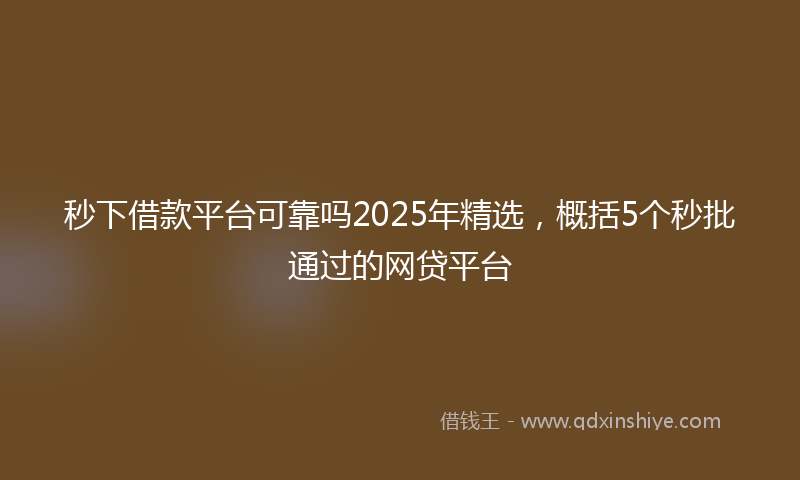 秒下借款平台可靠吗2025年精选，概括5个秒批通过的网贷平台