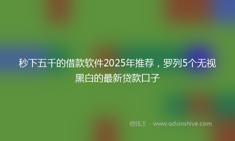 秒下五千的借款软件2025年推荐，罗列5个无视黑白的最新贷款口子