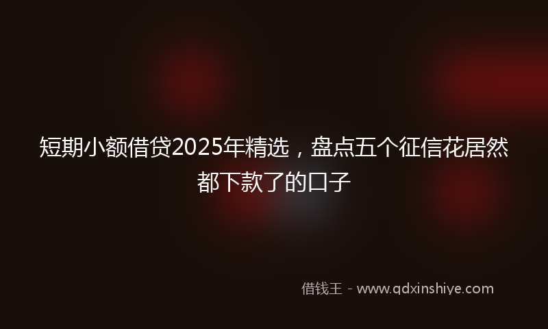 短期小额借贷2025年精选，盘点五个征信花居然都下款了的口子