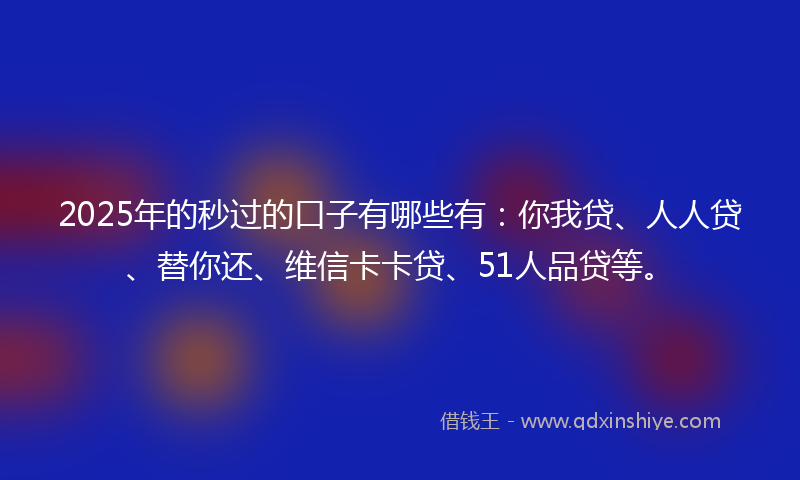2025年的秒过的口子有哪些有：你我贷、人人贷、替你还、维信卡卡贷、51人品贷等。