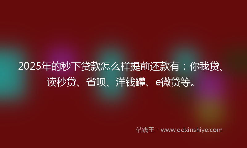 2025年的秒下贷款怎么样提前还款有：你我贷、读秒贷、省呗、洋钱罐、e微贷等。