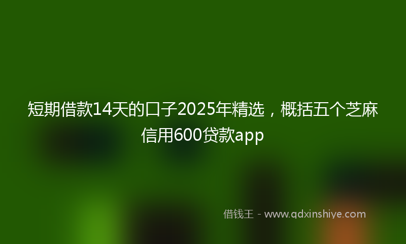 短期借款14天的口子2025年精选，概括五个芝麻信用600贷款app