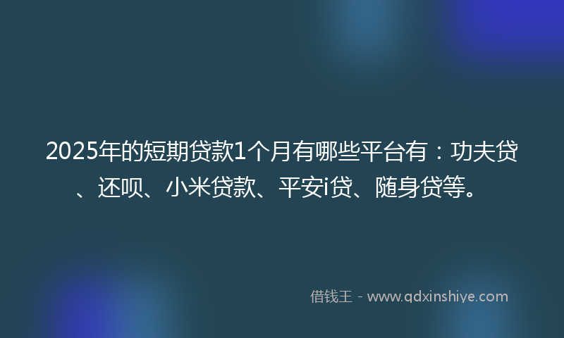 2025年的短期贷款1个月有哪些平台有：功夫贷、还呗、小米贷款、平安i贷、随身贷等。