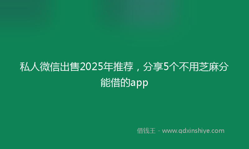 私人微信出售2025年推荐,分享5个不用芝麻分能借的app