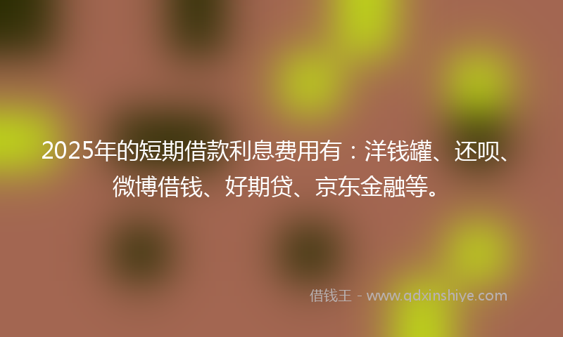 2025年的短期借款利息费用有：洋钱罐、还呗、微博借钱、好期贷、京东金融等。