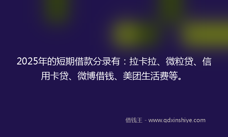 2025年的短期借款分录有：拉卡拉、微粒贷、信用卡贷、微博借钱、美团生活费等。
