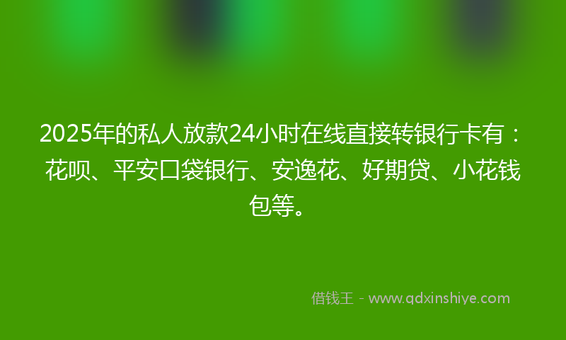 2025年的私人放款24小时在线直接转银行卡有：花呗、平安口袋银行、安逸花、好期贷、小花钱包等。