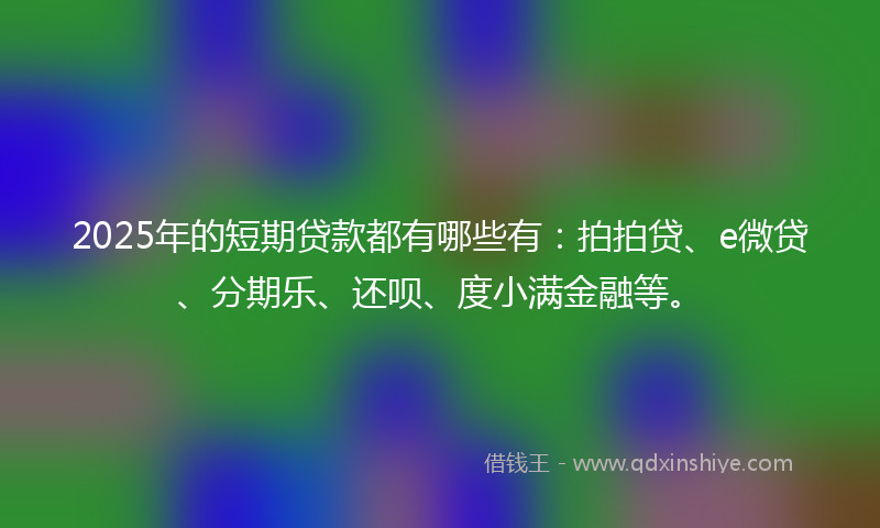 2025年的短期贷款都有哪些有：拍拍贷、e微贷、分期乐、还呗、度小满金融等。