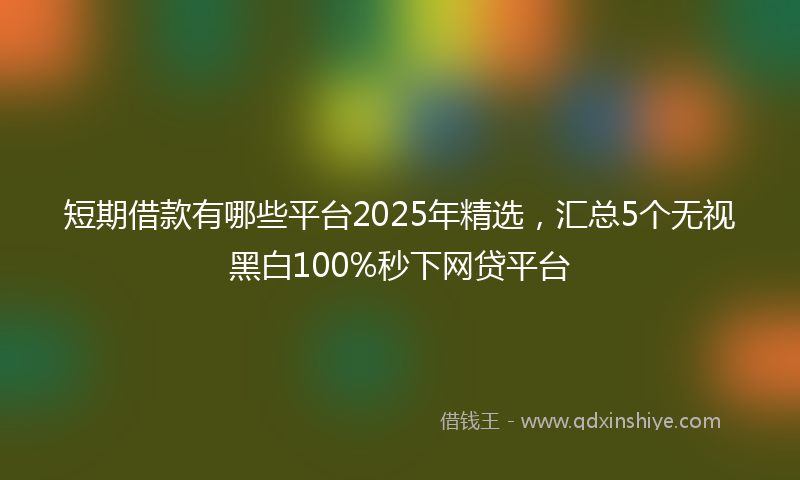 短期借款有哪些平台2025年精选，汇总5个无视黑白100%秒下网贷平台