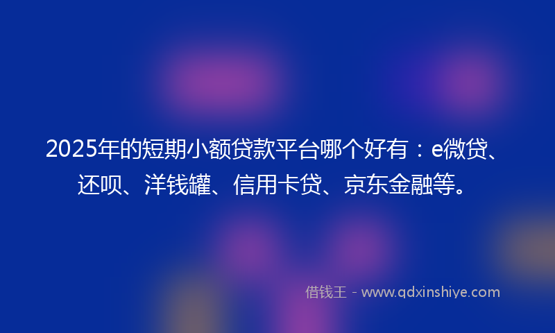 2025年的短期小额贷款平台哪个好有:e微贷、还呗、洋钱罐、信用卡贷、京东金融等。