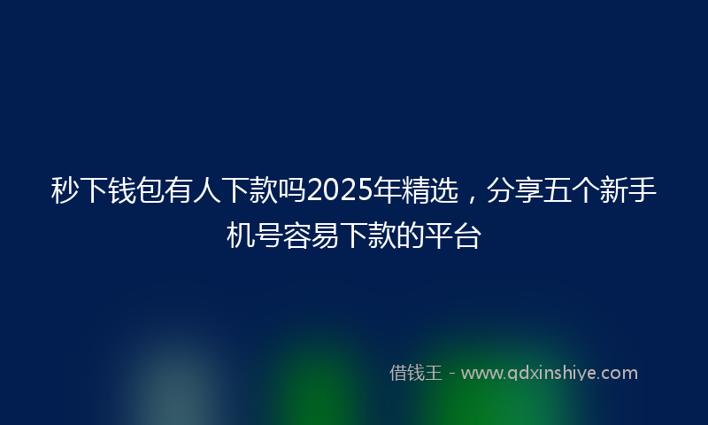 秒下钱包有人下款吗2025年精选，分享五个新手机号容易下款的平台