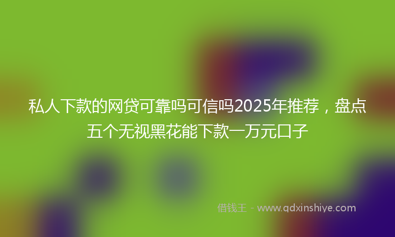 私人下款的网贷可靠吗可信吗2025年推荐，盘点五个无视黑花能下款一万元口子