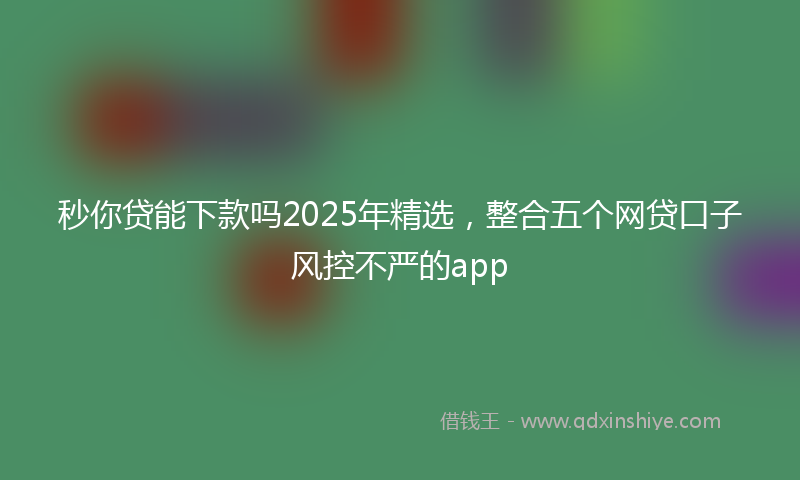 秒你贷能下款吗2025年精选，整合五个网贷口子风控不严的app