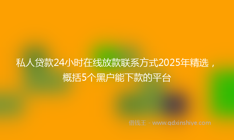 私人贷款24小时在线放款联系方式2025年精选，概括5个黑户能下款的平台