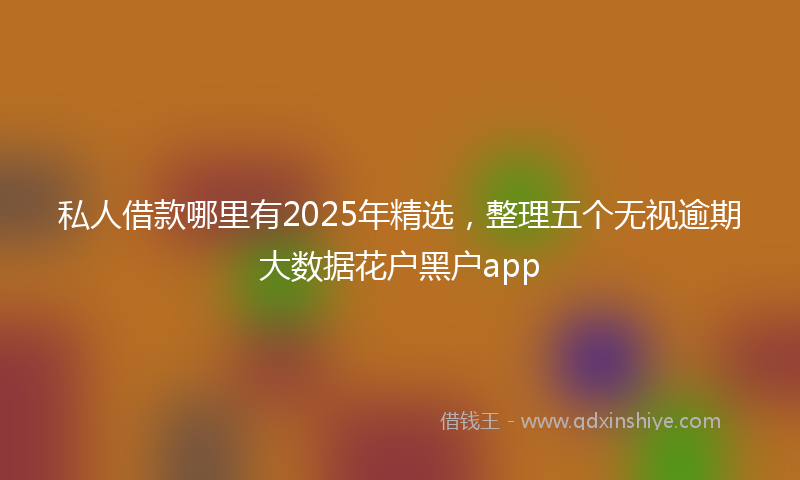 私人借款哪里有2025年精选，整理五个无视逾期大数据花户黑户app