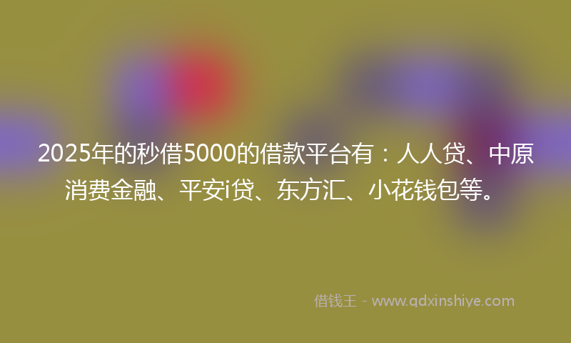 2025年的秒借5000的借款平台有：人人贷、中原消费金融、平安i贷、东方汇、小花钱包等。