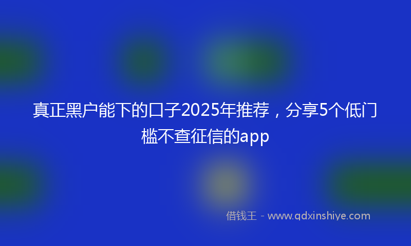 真正黑户能下的口子2025年推荐，分享5个低门槛不查征信的app