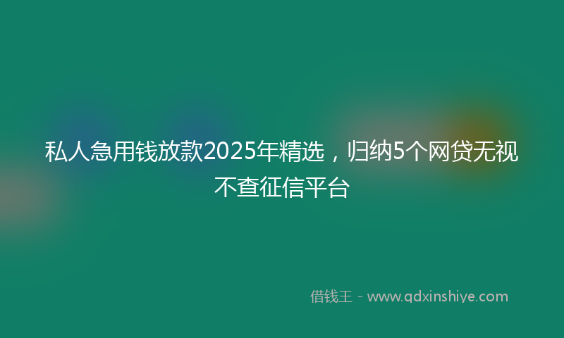 私人急用钱放款2025年精选，归纳5个网贷无视不查征信平台