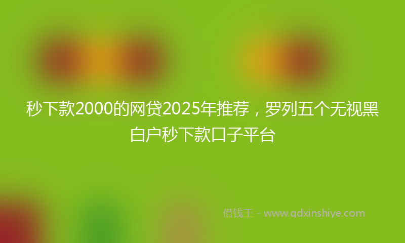 秒下款2000的网贷2025年推荐，罗列五个无视黑白户秒下款口子平台