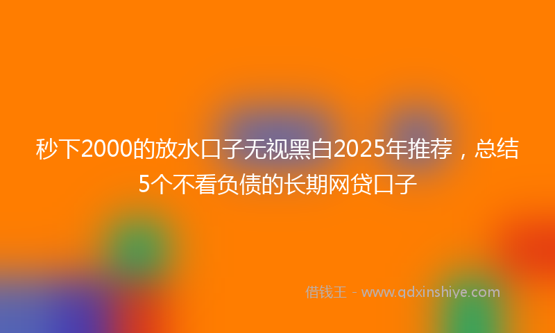 秒下2000的放水口子无视黑白2025年推荐，总结5个不看负债的长期网贷口子