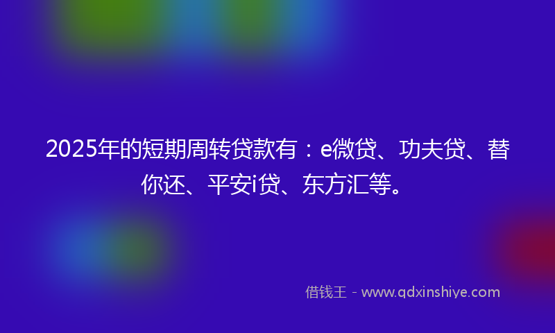 2025年的短期周转贷款有：e微贷、功夫贷、替你还、平安i贷、东方汇等。