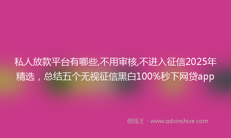 私人放款平台有哪些,不用审核,不进入征信2025年精选，总结五个无视征信黑白100%秒下网贷app