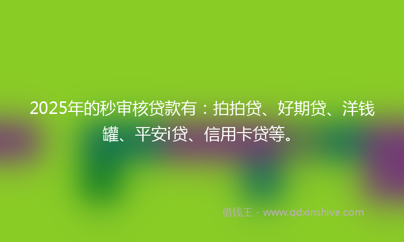 2025年的秒审核贷款有：拍拍贷、好期贷、洋钱罐、平安i贷、信用卡贷等。