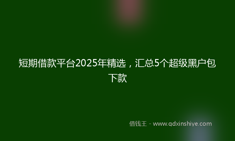 短期借款平台2025年精选，汇总5个超级黑户包下款