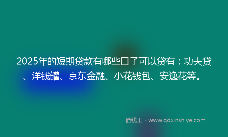 2025年的短期贷款有哪些口子可以贷有：功夫贷、洋钱罐、京东金融、小花钱包、安逸花等。