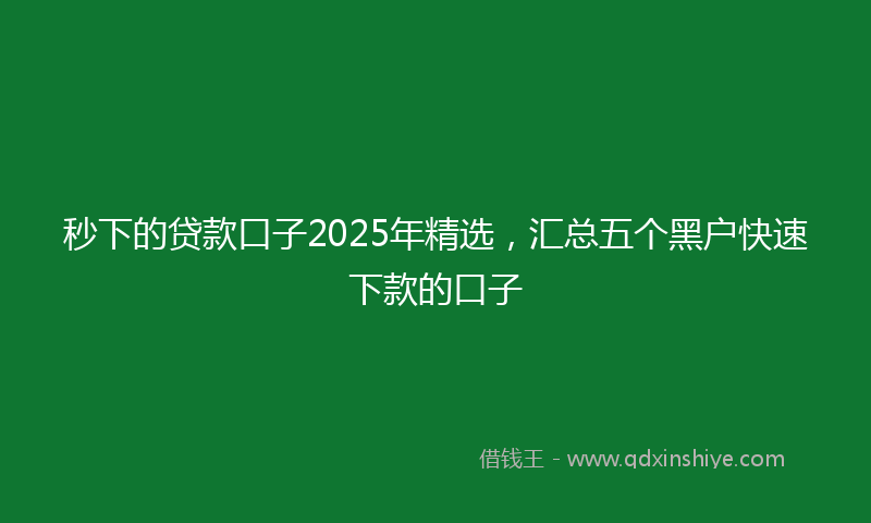 秒下的贷款口子2025年精选，汇总五个黑户快速下款的口子