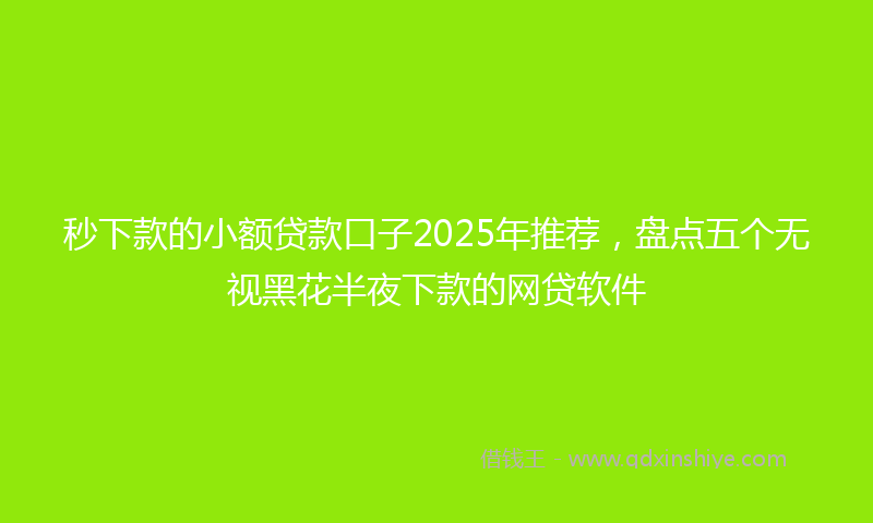 秒下款的小额贷款口子2025年推荐，盘点五个无视黑花半夜下款的网贷软件