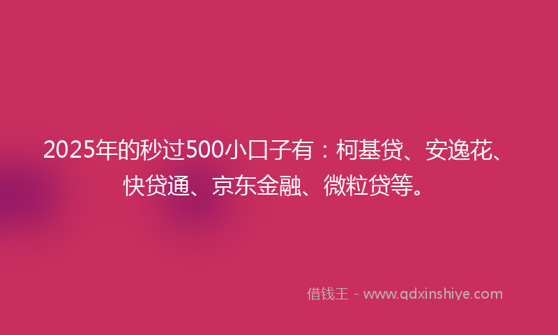 2025年的秒过500小口子有：柯基贷、安逸花、快贷通、京东金融、微粒贷等。