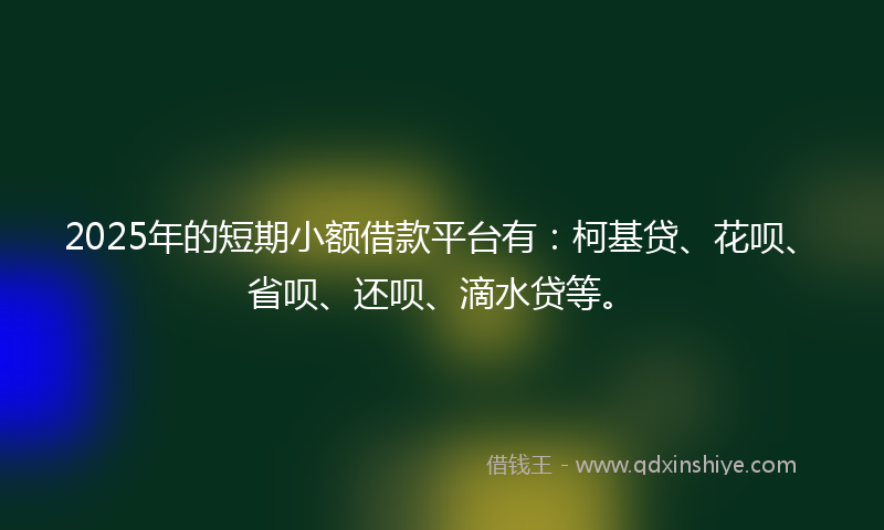 2025年的短期小额借款平台有:柯基贷、花呗、省呗、还呗、滴水贷等。