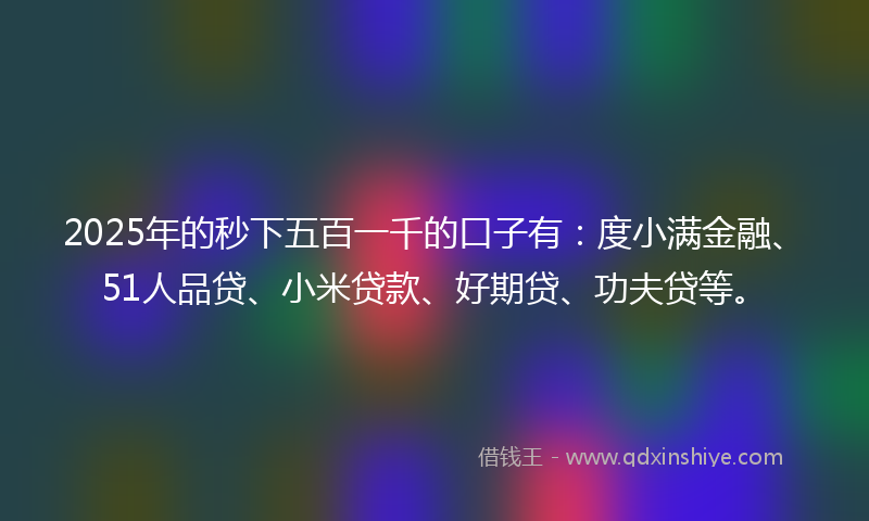 2025年的秒下五百一千的口子有：度小满金融、51人品贷、小米贷款、好期贷、功夫贷等。