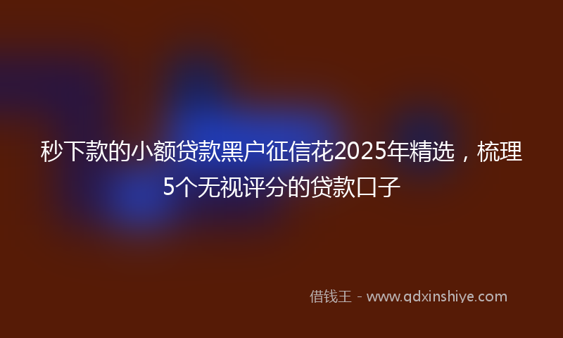 秒下款的小额贷款黑户征信花2025年精选，梳理5个无视评分的贷款口子