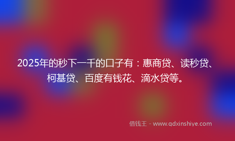 2025年的秒下一千的口子有：惠商贷、读秒贷、柯基贷、百度有钱花、滴水贷等。