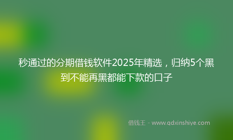 秒通过的分期借钱软件2025年精选，归纳5个黑到不能再黑都能下款的口子