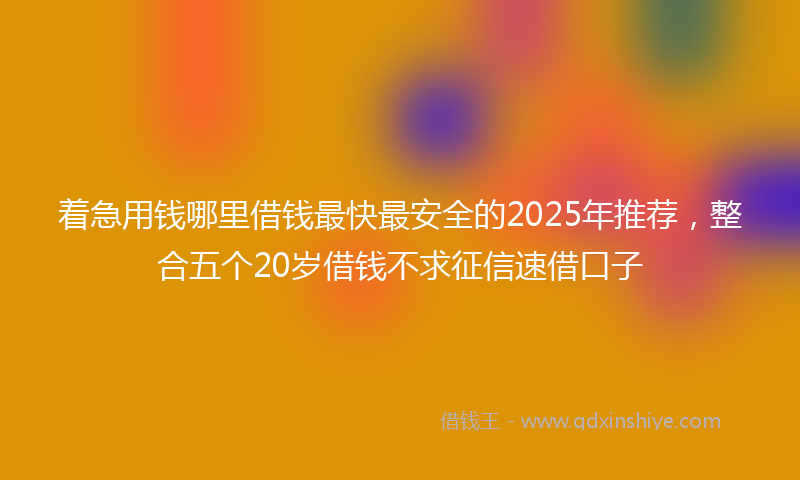 着急用钱哪里借钱最快最安全的2025年推荐，整合五个20岁借钱不求征信速借口子