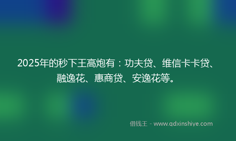 2025年的秒下王高炮有：功夫贷、维信卡卡贷、融逸花、惠商贷、安逸花等。