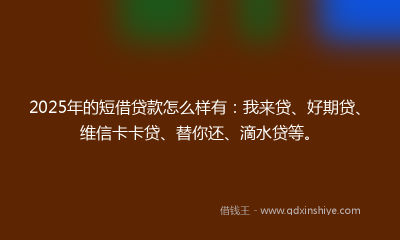 2025年的短借贷款怎么样有：我来贷、好期贷、维信卡卡贷、替你还、滴水贷等。