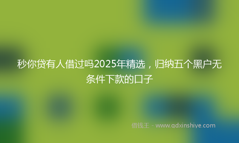 秒你贷有人借过吗2025年精选，归纳五个黑户无条件下款的口子