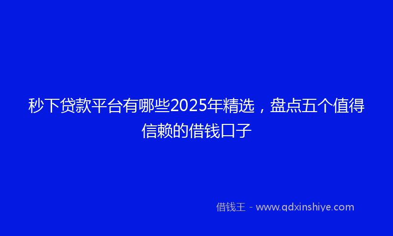 秒下贷款平台有哪些2025年精选，盘点五个值得信赖的借钱口子